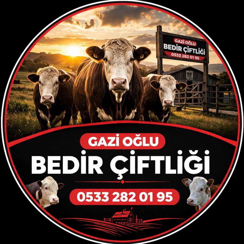 Gazio�lu Bedir �ifli�i